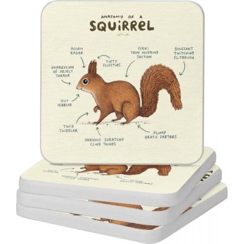 Anatomy Of A Squirrel Diatomite Square Round Shape Coaster MildewProof Cup Bonsai Mat Soap Toothbrush Pad Diameter 10cm