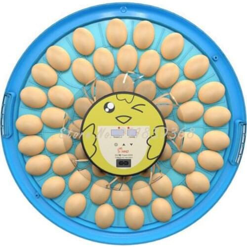 Incubator Small Household Incubator Temperature Control And Humidity Display Automatic Mini Intelligent Incubator 30