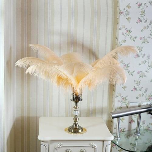 Fashion New Color Feathers Fluffy Ostrich Feathers 45-60cm Large Feathers For Wedding Party Center Pieces Decoration Home Decor