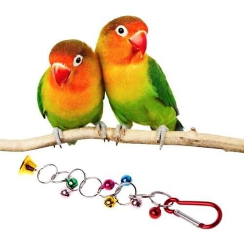 Bird Bite Toy Ring Bell Parrot Hamster Hanging Swing Chain Toy Parakeet Chew Toy