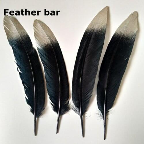 Factory cheap sales 200pcs/packs Black feathers with silver Color Tipped pheasant silver plumes for backpieces 75-80cm