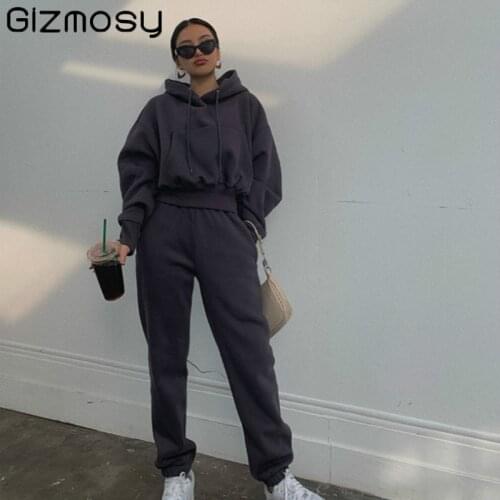 Gizmosy Autumn Winter Casual Tracksuit Women Sports Velvet 2 Pieces Set Sweatshirt Pullover Hoodies Suit Home Sweatpants Outfits