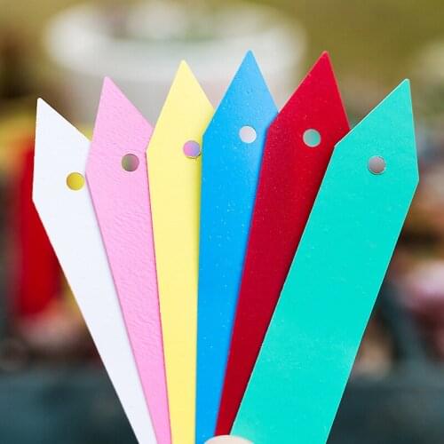 100Pcs 10X2cm Plants Labels Perforated PVC Plastic Hanging Labels Gardening Flower Succulent Plastic Waterproof Label