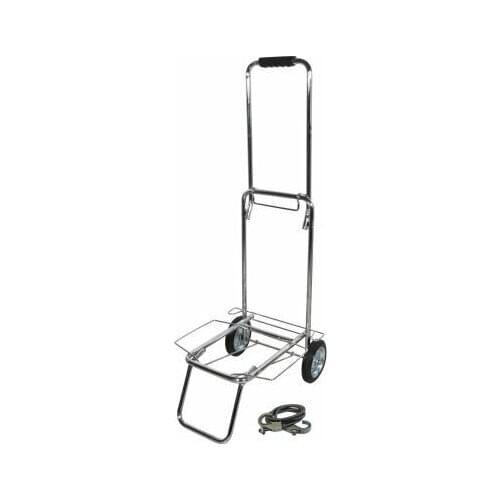 Рыжий кот Shopping Carts