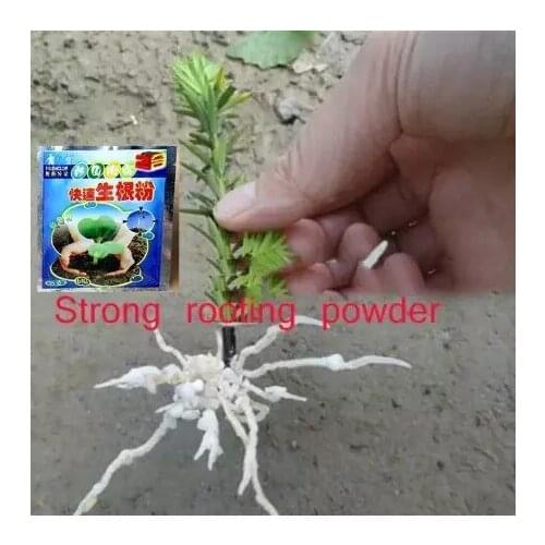 Fast Rooting Powder Plant Rooting Hormone Powder Flower Recovery Root Survival Rate Plants Grow Powder Fertilizer Garden Decor