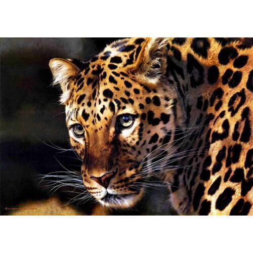 Free shipping realist animal leopard charming eyes oil painting canvas prints printed on canvas wall art decoration picture