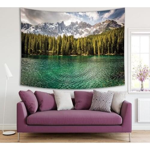 Tapestry Mountain Pine Trees Reflection on Carezza Lacquer, Trentino, Dolomites Alps, Italy Landscape in Green and Grey
