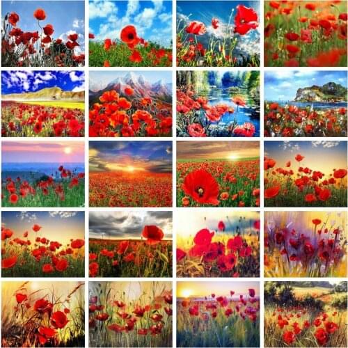 AZQSD Poppy Diy Painting By Numbers For Adults Flower Acrylic Picture Oil Painting By Numbers Handmade Diy Wall Art Framed