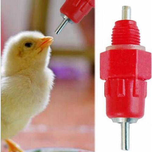 10pcs / lot automatic chicken waterer Docking ball nipple drinkers for farm chicken poultry feeding water supplier