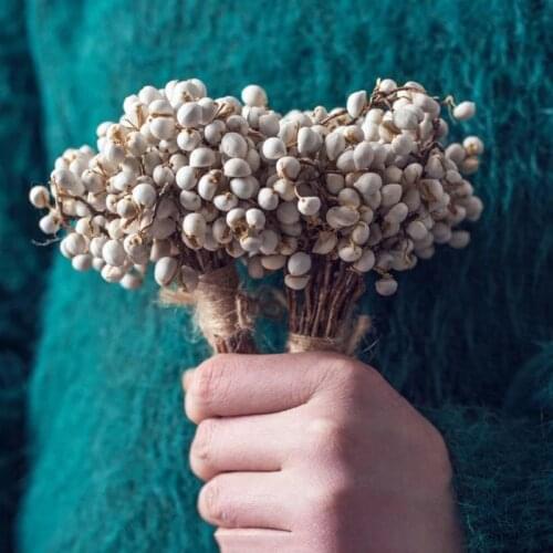 Ins small Ginkgo Sapium sebiferum dried flower DIY home Wedding party decoration