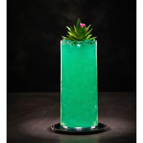 Extra Light 4PCS Highball Glasses Long Drink Glass Cocktail Glass Collins Glasses Set of 4