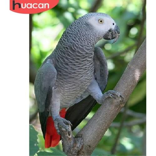 HUACAN Full Square Round Drill Diamond Embroidery Painting Parrot 5D DIY Diamond Mosaic Animal Rhinestone Kit Handmade Gift