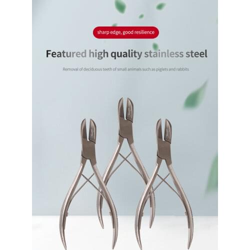 Stainless Steel Pig Extracting Forceps