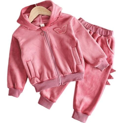 0-3 Years Baby Girl Set Fall Winter Two-sided Velvet Thick warm 2-Piece Kids Cute Wing Clothing Children 95% Cotton Suit