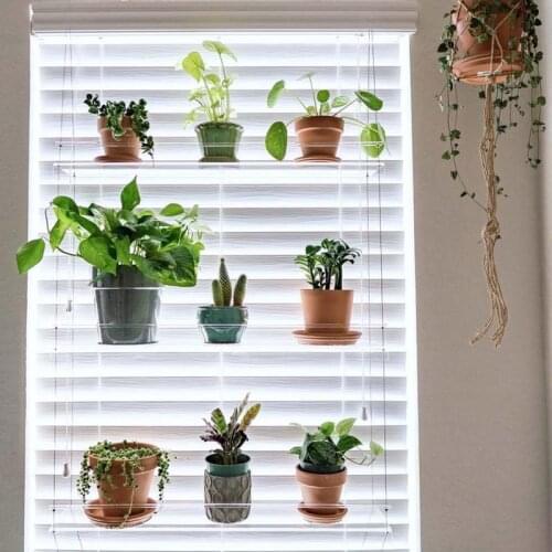 Clear Acrylic Wall Hanging Floating Window Plant Shelves Height Adjustable Shelves for Indoor Plants Succulents Photo Frames
