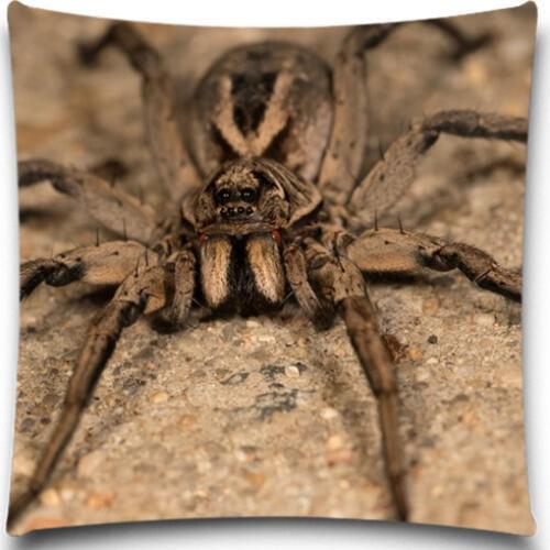 Grey/Red/Orange Spider Square Cushion Covers Insect Blue Yellow Throw Pillows Cover for Home car sofa Decor 16 18 20 inches