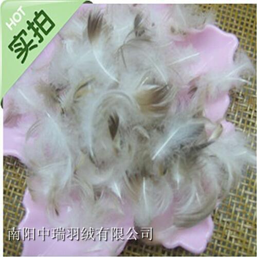 Bulk feather &grey duck feather &pillow and sofa filler / Cushion and Mattress filler / pillow fight feather
