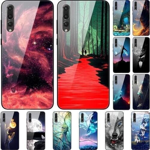 Case For Huawei P20 Plus Back Phone Cover Black Silicone Bumper With Tempered Glass