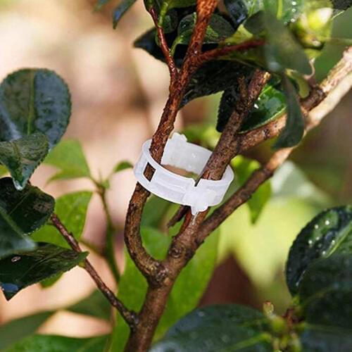 50/100pcs 30mm Plastic Plant Support Clips For Tomato Hanging Trellis Vine Connects Plants Greenhouse Vegetables Garden Ornament