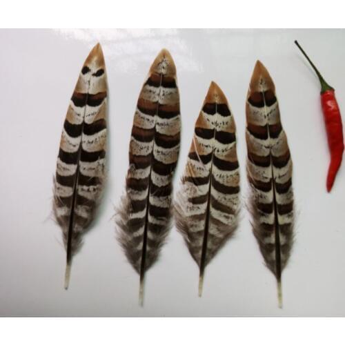 New! 10 pc natural quality pheasant feathers, 4-6" / 10-15cm long, diy jewelry decorative accessories