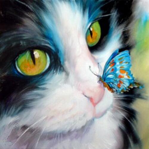 Butterfly on the cat nose 3D square diamond mosaic knitting needles diamond painting Full cover embroidery rhinestones diamond