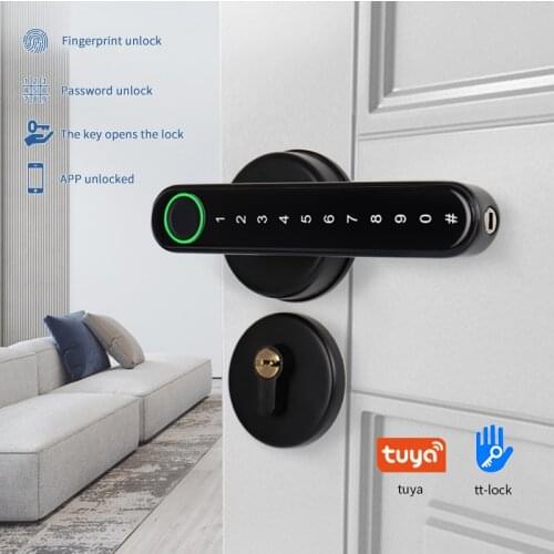 Indoor Fingerprint Code Lock a Hold Open the Bedroom Office Qooden Door Home Single-Tongue Ball Handle Smart