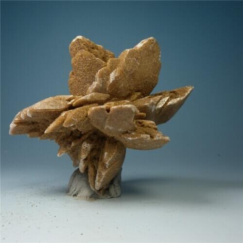 Desert Rose never withers natural mineral stone mineral crystal rose teaching specimens