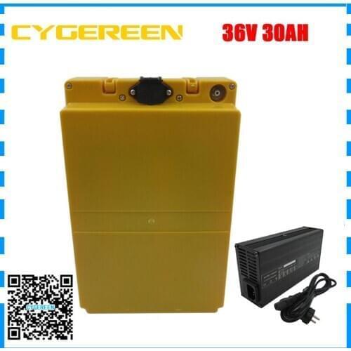 36V 30AH Electric Bike Bicycle Bateria Accu 1000W 36 V lithium 18650 Ebike battery pack 30A BMS 42V 5A Charger
