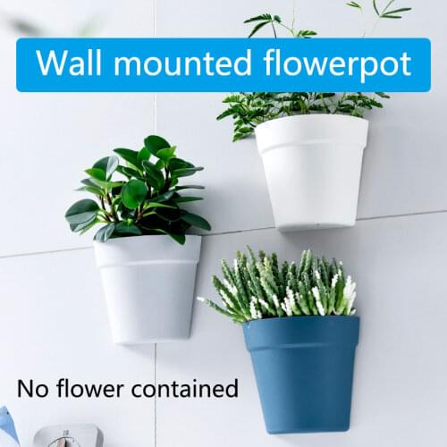 Liorna Plastic Pots