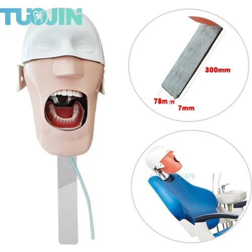 C3 Simulation Head Model Dental Phantom Human Body Root Canal Orthodontic Practice Product For Students Training Apparatus