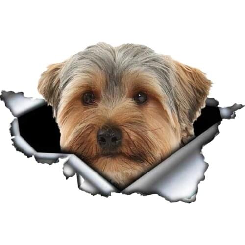 Self-adhesive Decal YorkshireTerrier V3 Car Sticker Waterproof Auto Decors on Bumper Rear Window B0093