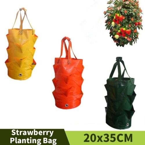 3 Gallon PE Hanging Strawberry Grow Bags Garden Multi-mouth Water-resistant Nursing Pots Side With Handles Home Planting Tools