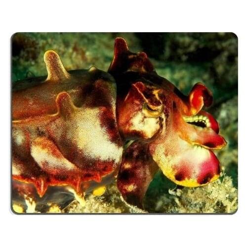 General High Quality Metasepia Pfefferi Cuttlefish Ocean Marine Mouse Pads