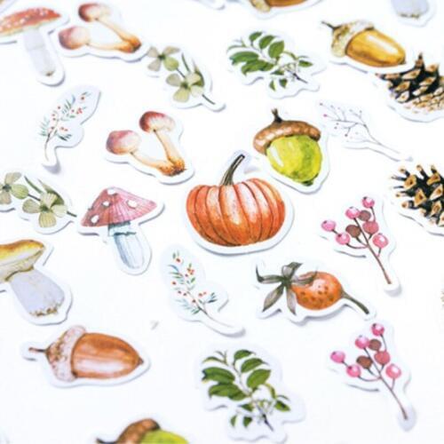 46Pcs/lot lovely abnormity Sticker the story of forest Sealing label /diy cartoon Scrapbooking Stationery Sticker gift Box