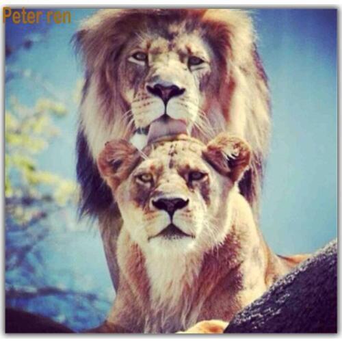 Peter ren Diamond painting cross stitch Pictures of crystals full mosaic Rhinestones Beaded embroidery "Male and female lions "