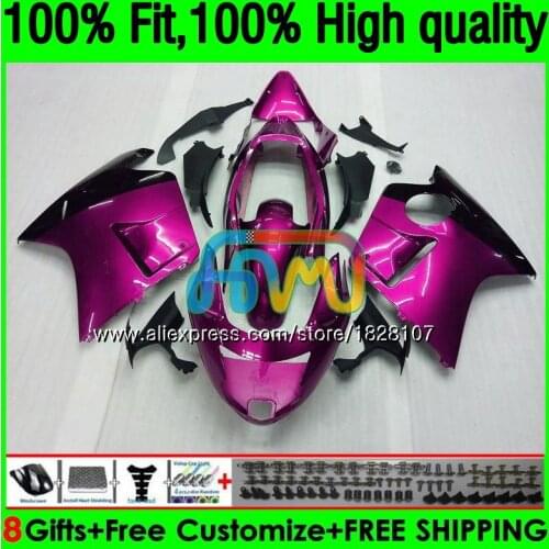 CBR1100 XX For HONDA Blackbird CBR 1100XX 02 03 05 06 07 132BS.116 Rose black CBR1100XX 2002 2003 2004 2005 2006 2007 Fairings