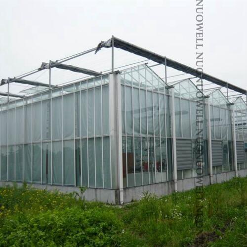 Thickness 0.1mm Agricultural Greenhouse Film Farm Crops Vegetable Plant Cover Transparent Tarpaulin Film Width:2m~12m