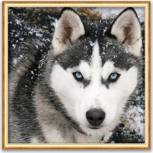 Animal Dog Husky DIY 11CT Embroidery Cross Stitch Kits Needlework Craft Set Cotton Thread Printed Canvas Home Decoration New