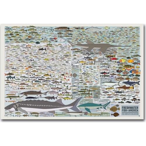 Hot New Chart Pop Fresh Water Fish Of Am-Silk Art Poster Wall Sticker Decoration Gift