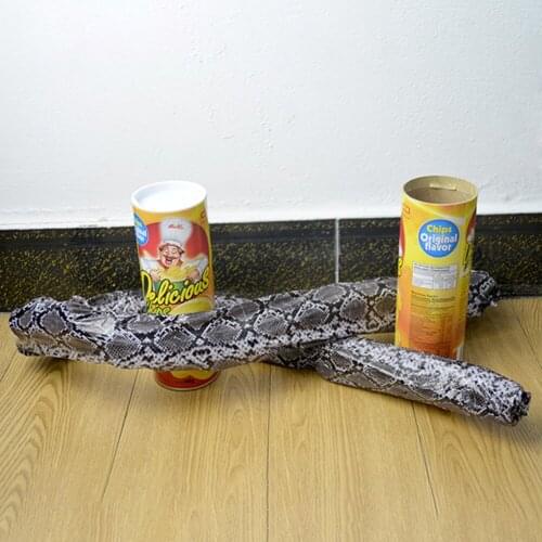 Funny Potato Chip Can Jump Spring Snake roach Toy Gift April Fool Day Halloween Party Decoration Prank Trick Fun Joke Toys
