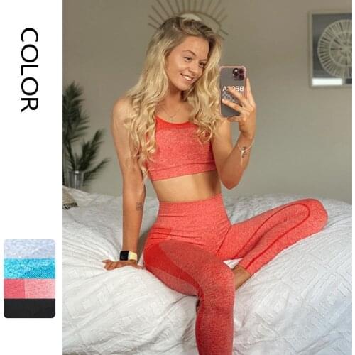 Seamless Yoga Set Gym Fitness Clothing Women Yoga Suit Sportswear Female Workout Leggings Bra Sport Clothes Training Tights