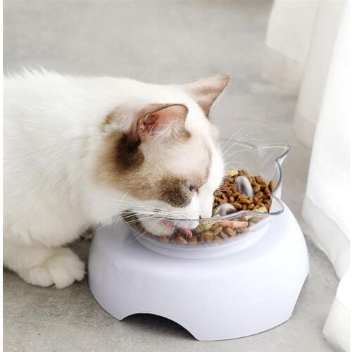 Pet Bowl Creative 15° Titling Pet Slow Feeder Cat Food Bowl Dog Water Bowl Puppy Feeding Supplies Dog Accessories