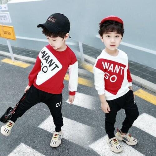 2020 new Spring autumn boy girl clothes sets cotton kids Hoodie+Haren pants 2 piece toddler sports clothes Children clothing