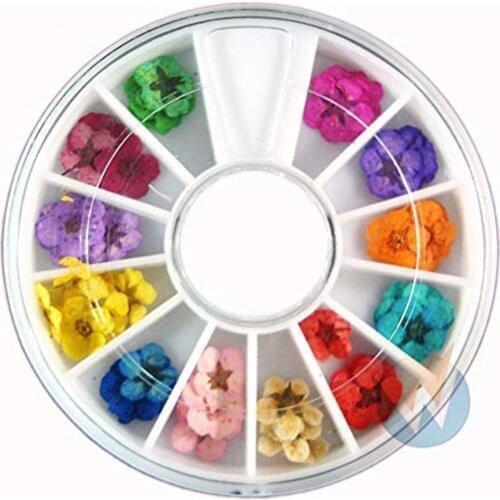 12 Colors 3D Real Dried Flower Dry Plants For DIY Epoxy UV Resin Jewelry Making Craft Nail Art Decoration Accessories