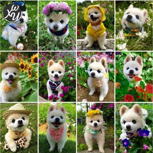 Full Drill Painting Kits Cute Dog Diamond Art Mosaic Hiromi Dog Round Square Rhinestones Stitch Embroidery Accessories for Decor
