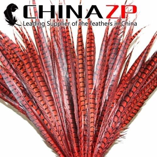 CHINAZP Feathers 70~80cm(28~32inch) Unique Dyed Lady Amherst Pheasant Tail Feathers