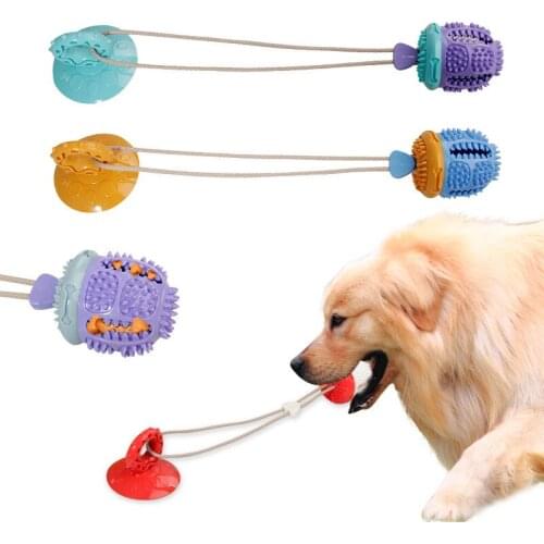 TPR Pet Dog Chewing Toy Toothbrush Play Thing with Suction Cup