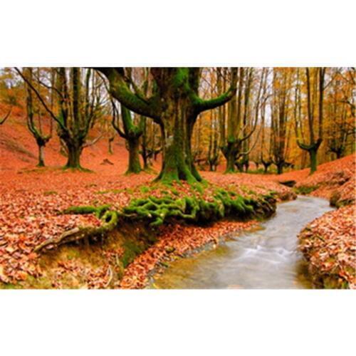6 Sizes of Autumn forest park scene Full drill diamond embroidery cross stitch fashion 3d diamond mosaic pictures of rhinestones