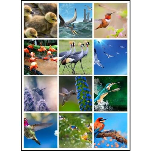 LIPHISFUN Diamond Painting 5D DIY Embroidery Cross Stitch Full Drill Home Decor Square/round Bird Animal Picture Photo