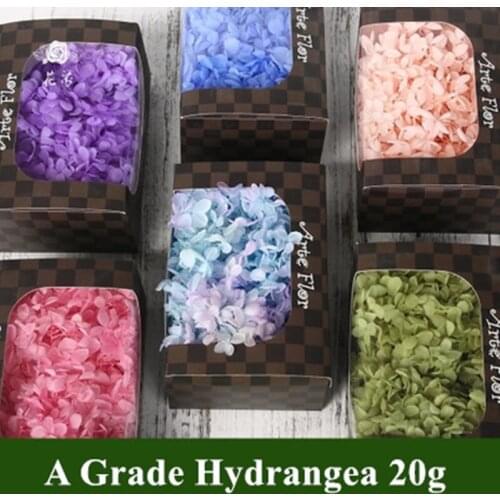 20G A Grade Eternal Preserved Flowers of Viburnum Macrocephalum Dry Natural Fresh Forever Hydrangea Immortal Flower Material